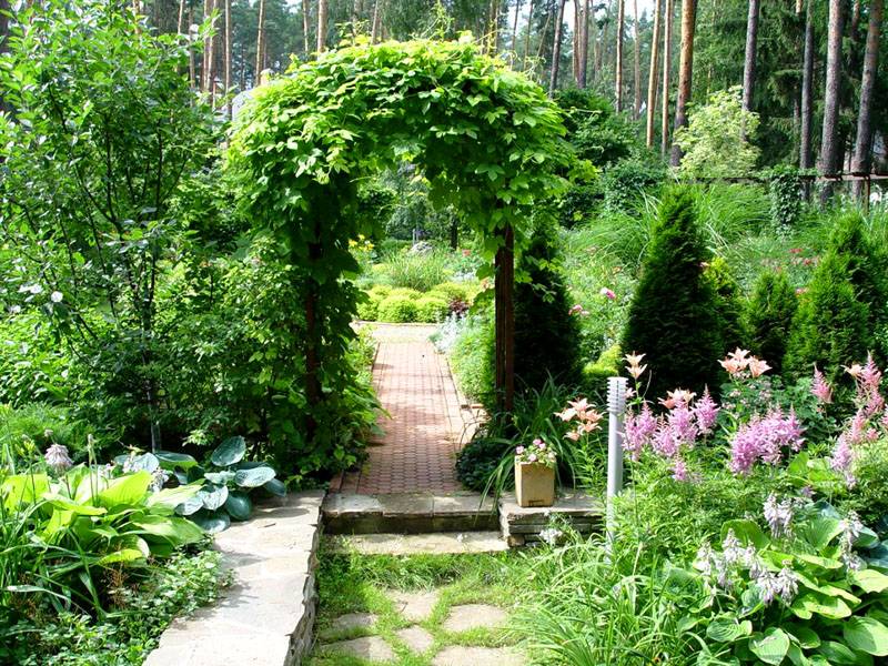 Красивые Сады И Дворики Фото