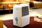 Норма влажности воздуха в квартире: как измерить, привести к необходимым показателям и удержать на нужном уровне