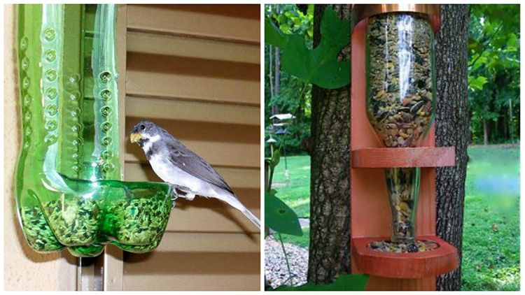 С заботой о пернатых: необычные идеи, как сделать кормушку для птиц своими руками