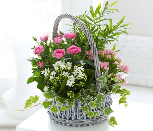 Искусственные цветы для домашнего интерьера: «за» или «против»