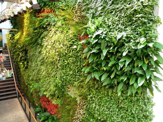 Весь покрытый зеленью, абсолютно весь: декор и устройство цветущих стен в обычном доме