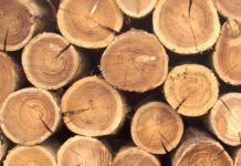 Выбор древесины для строительства дома: всё по науке и для лучшего результата