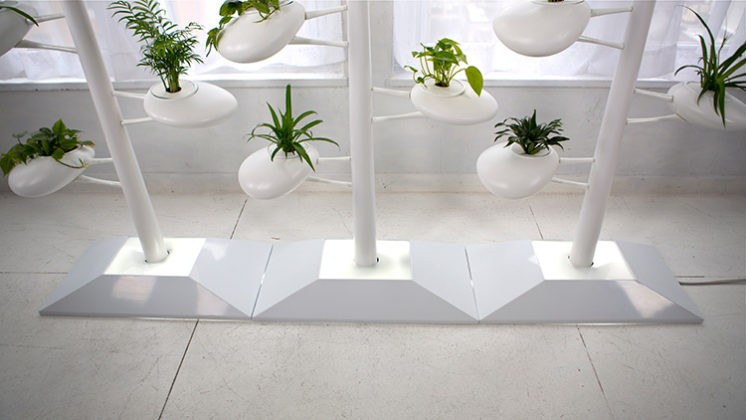🌺 Советы дизайнеров для домашней оранжереи: подставка для цветов на подоконник
