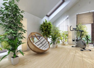 Нескучный домашний сад: комнатные растения в интерьере жилого дома