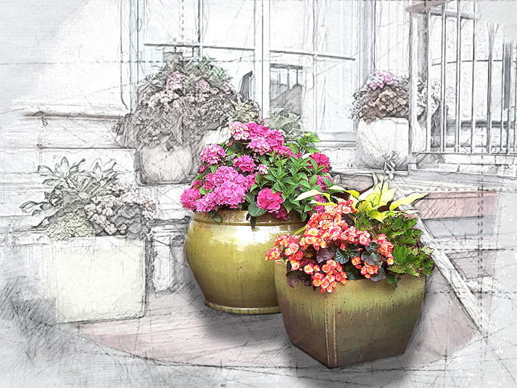 Несколько красивых вазонов могут преобразить ваш дворик