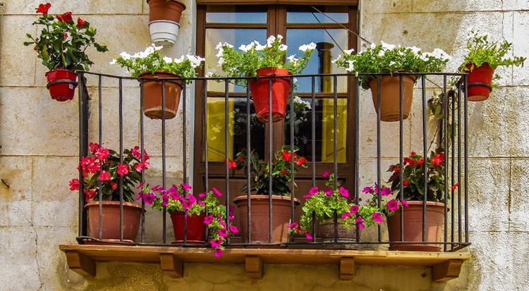 Узкий, французский балкончик чаще всего используется как небольшой цветник